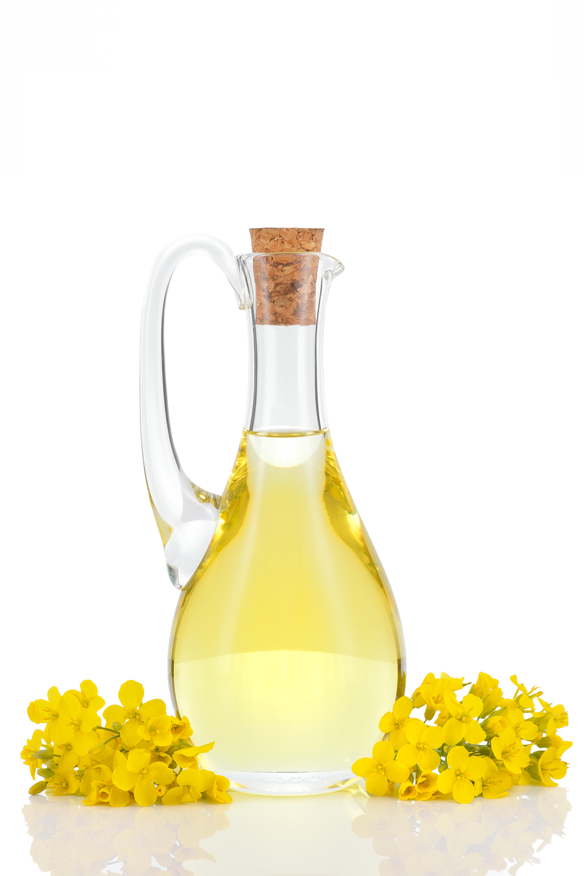 Canola Oil