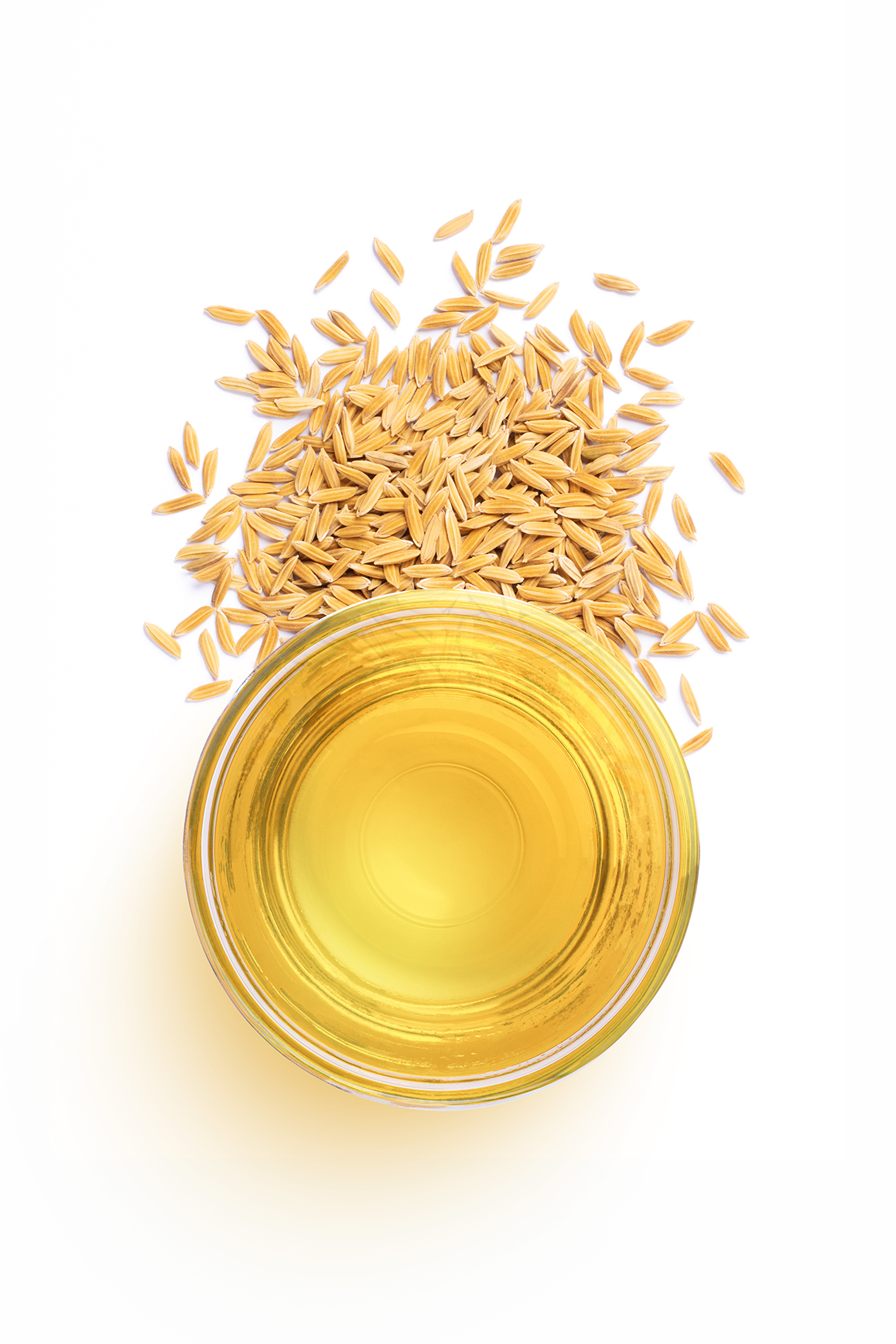 Rice Bran Oil