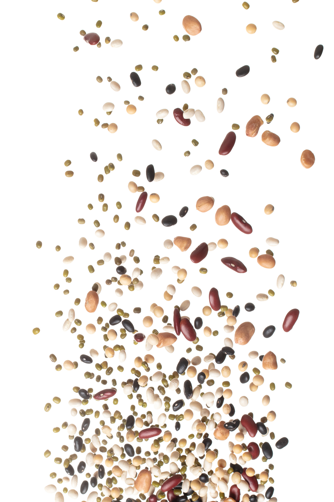 Seeds, Nuts and Legumes